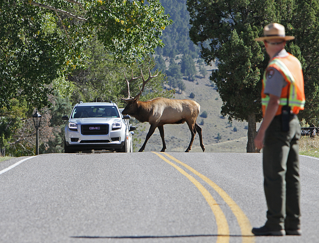 National Parks Safety Tips For Photographers