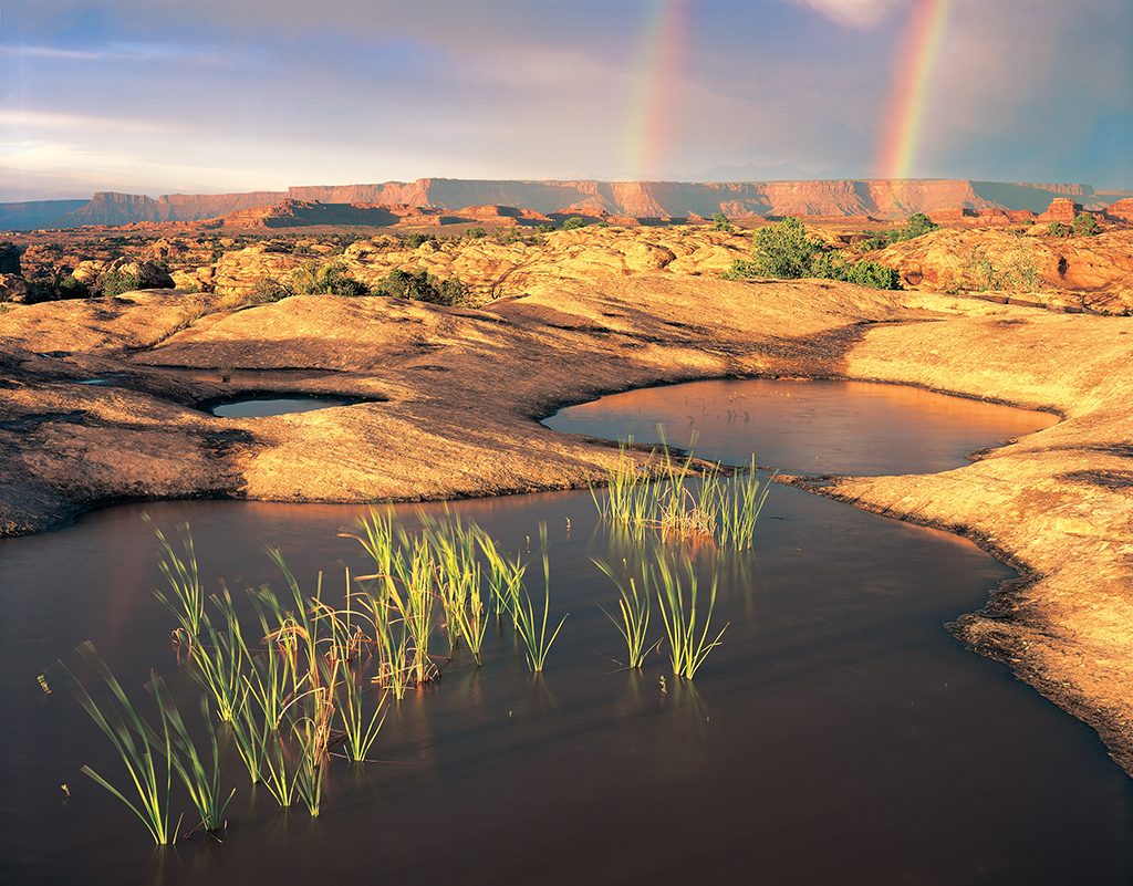 National Parks Safety Tips For Photographers