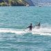kneeboard