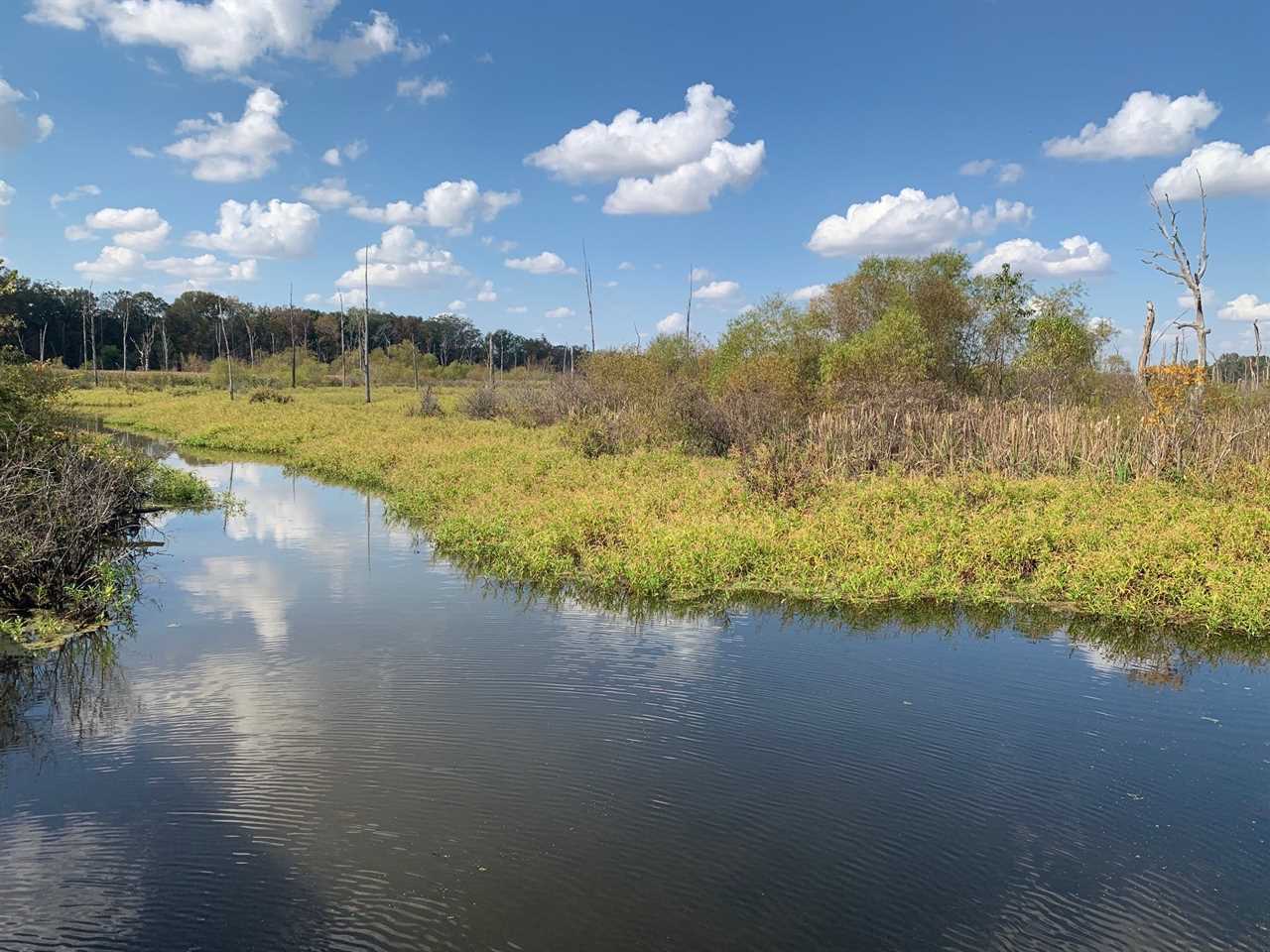 One of the reservoirs at Pine Tree Research Station in Arkansas.