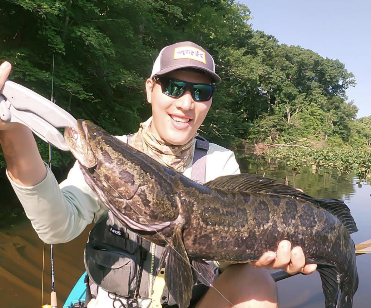 fish grips snakehead