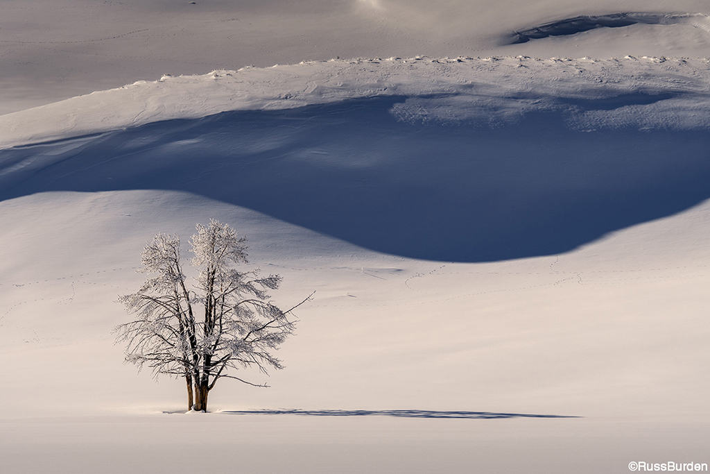 Working with shadows in photography