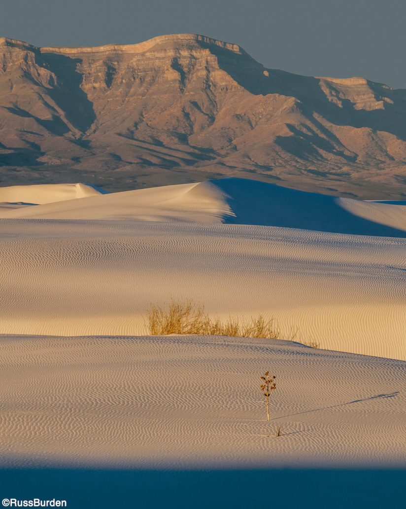 Shapes, Lines, Patterns And Textures in Nature, Part 2