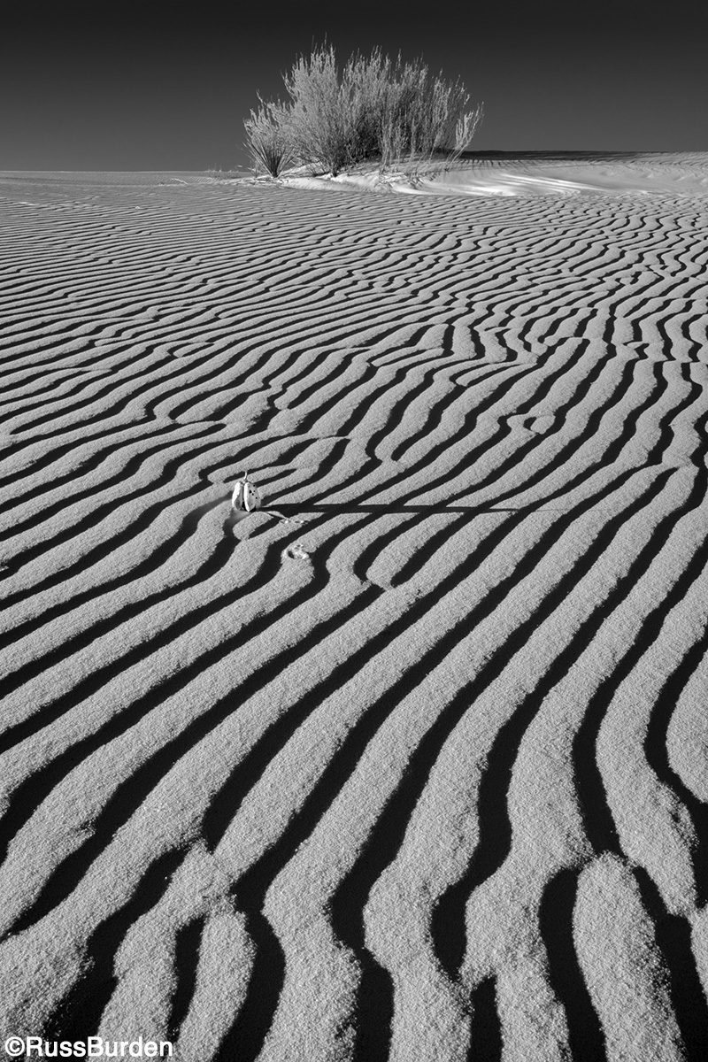 Shapes, Lines, Patterns And Textures in Nature, Part 2