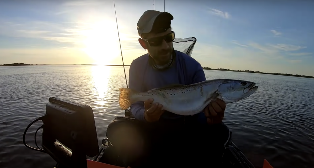 A fish caught with the Daiwa Fuego