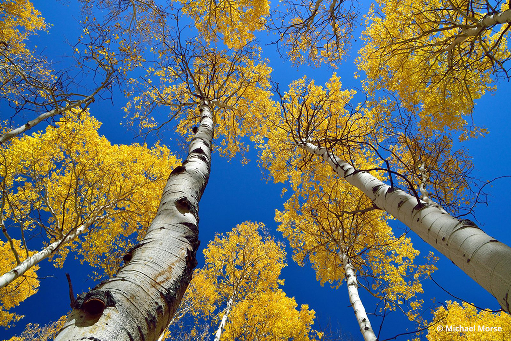Photo Of The Day By Michael Morse