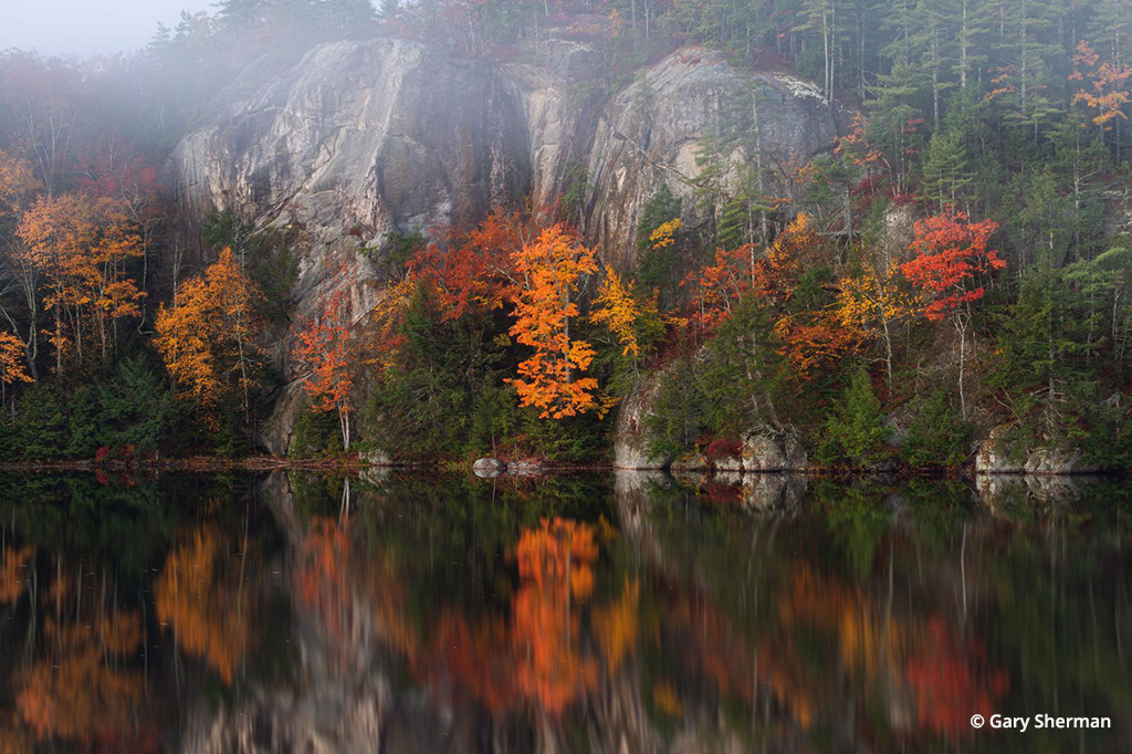 Photo Of The Day By Gary Sherman