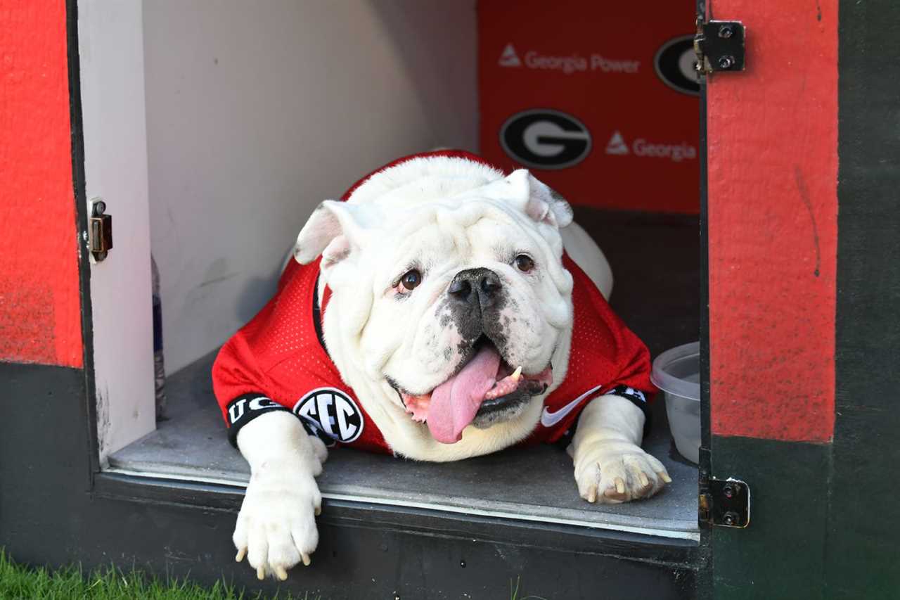 COLLEGE FOOTBALL: OCT 16 Kentucky at Georgia