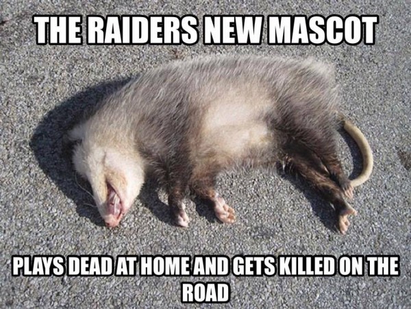 Raiders Memes