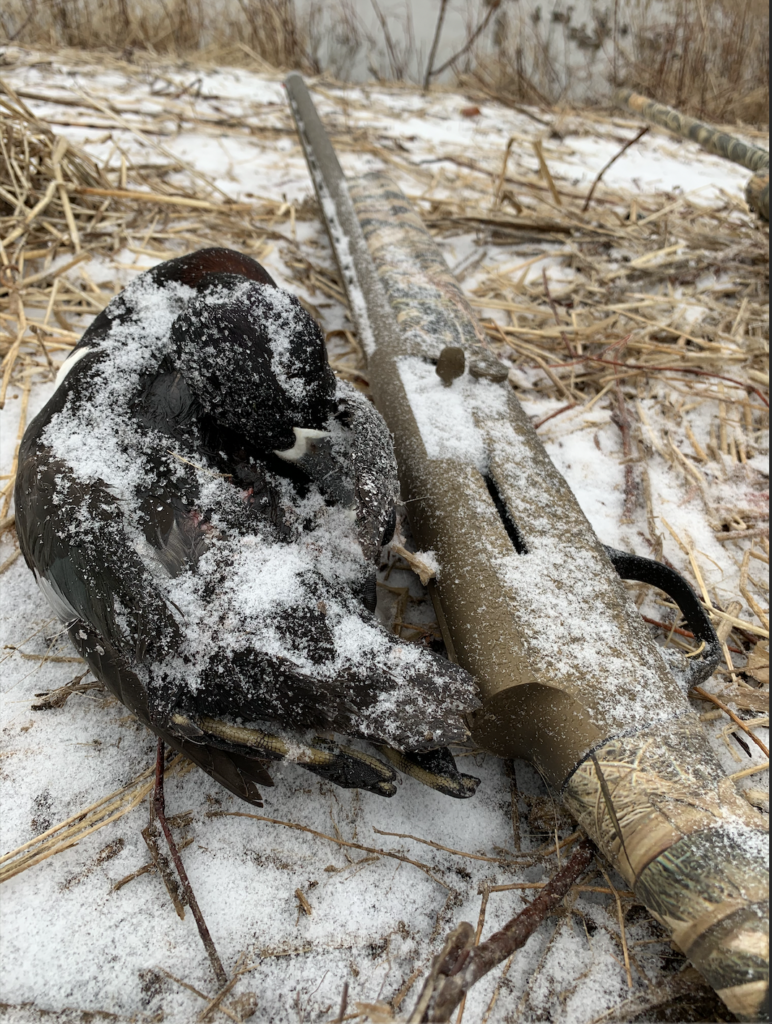 The Browning A5 in the snow