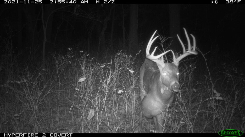 A big growth on a Missouri buck.