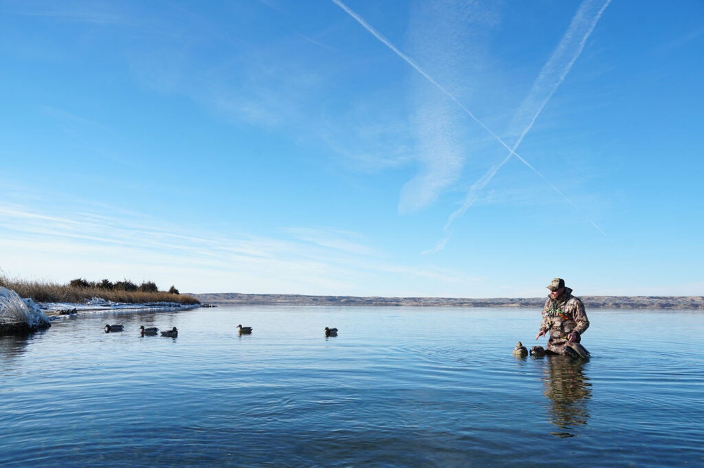 mallard hunt missouri river