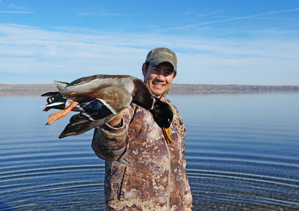 mallard hunt