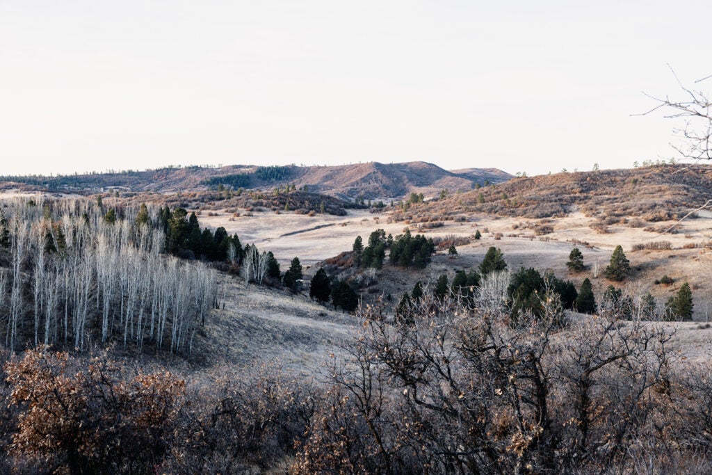 Quinlan Ranch scenery