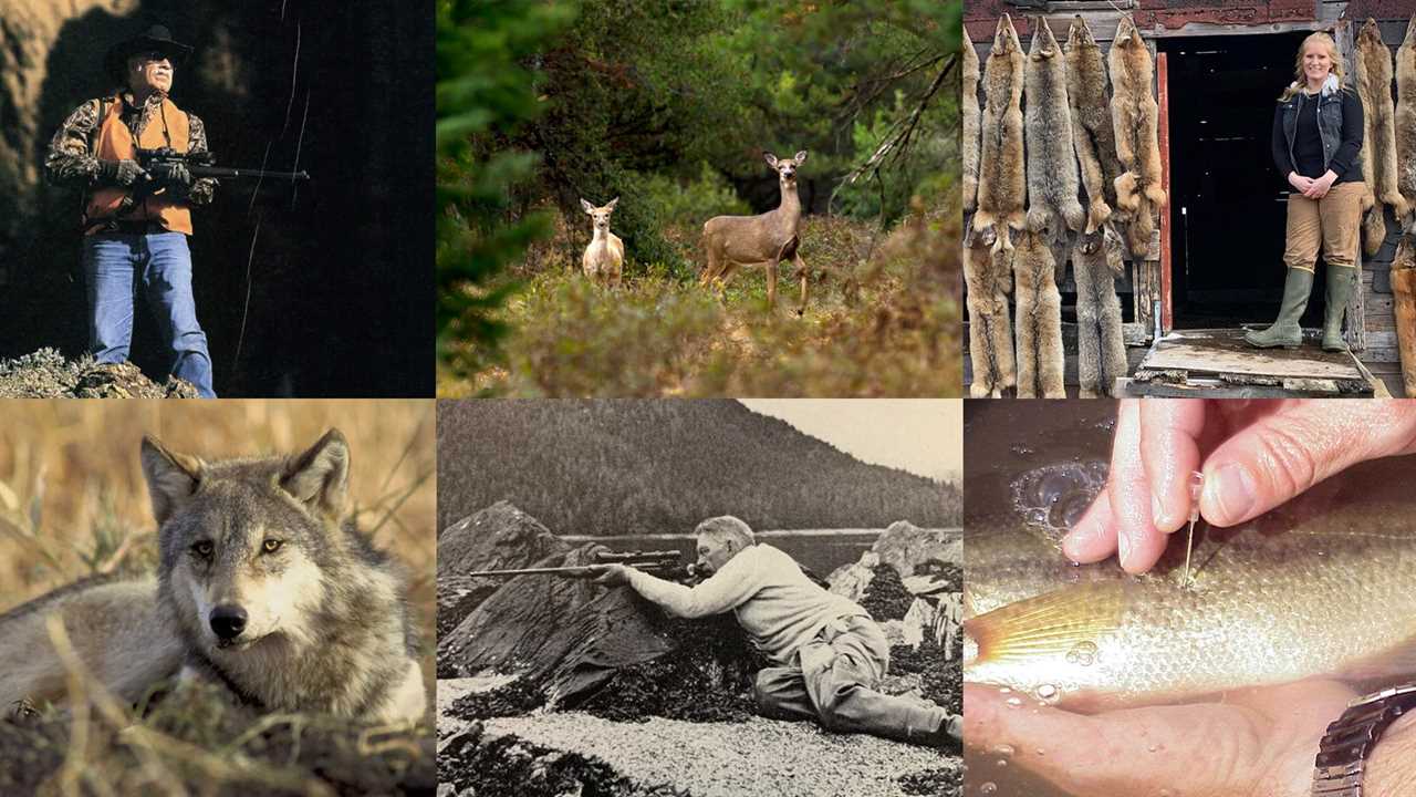 Hunting and fishing opinions.