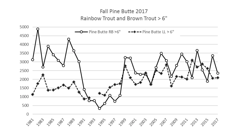 Madison River Fish Count in 2017