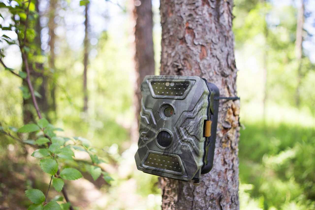 Trail camera in Utah