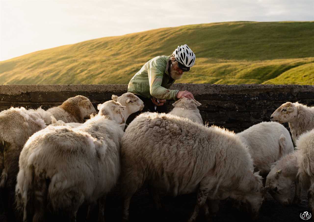 2021 Mark Gunter Photographer of the Year Awards: The judges’ shortlists