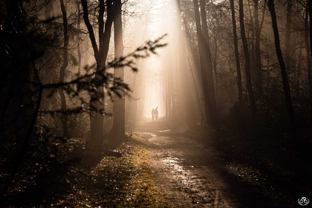 2021 Mark Gunter Photographer of the Year Awards: The judges’ shortlists