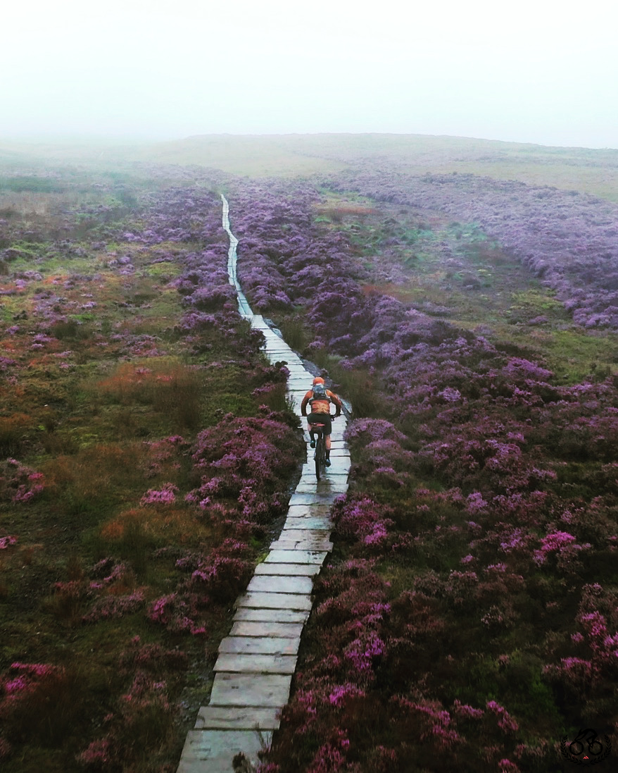 2021 Mark Gunter Photographer of the Year Awards: The judges’ shortlists