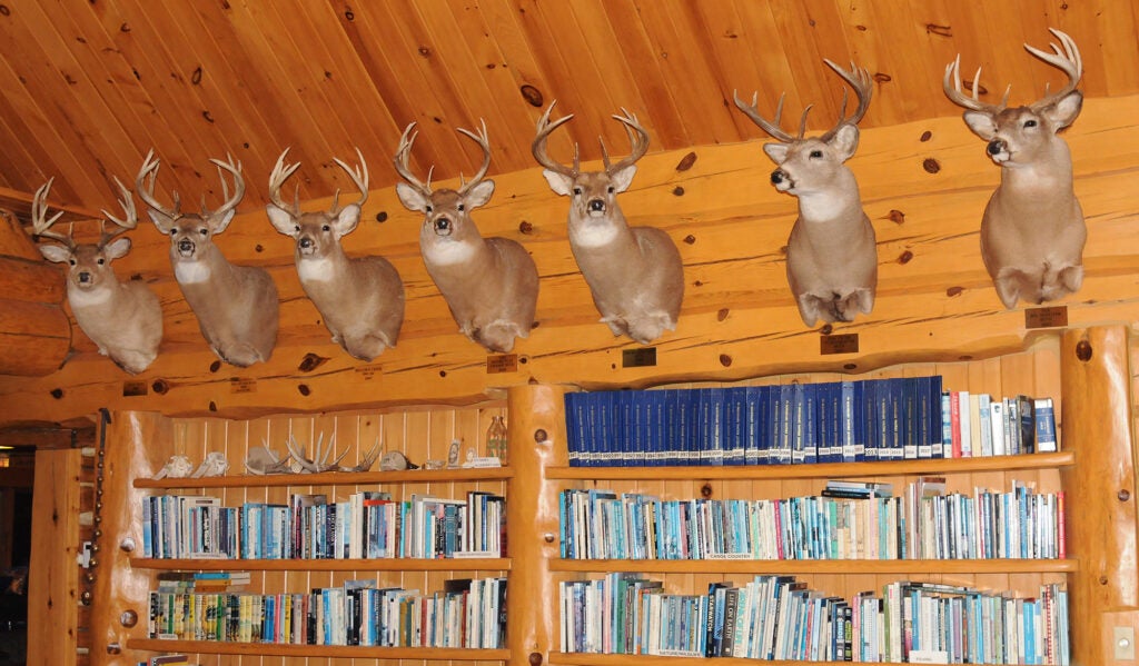 whitetail bucks cabin