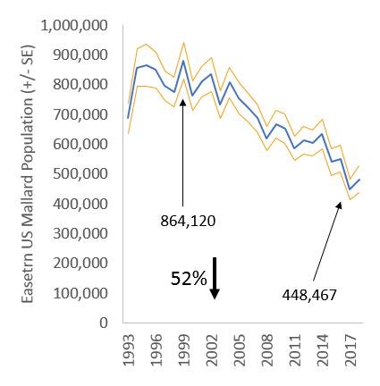 Mallards have been steadily declining in the Atlantic Flyway.