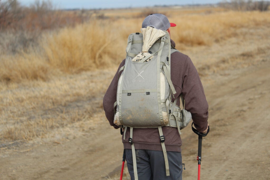 training to hunt