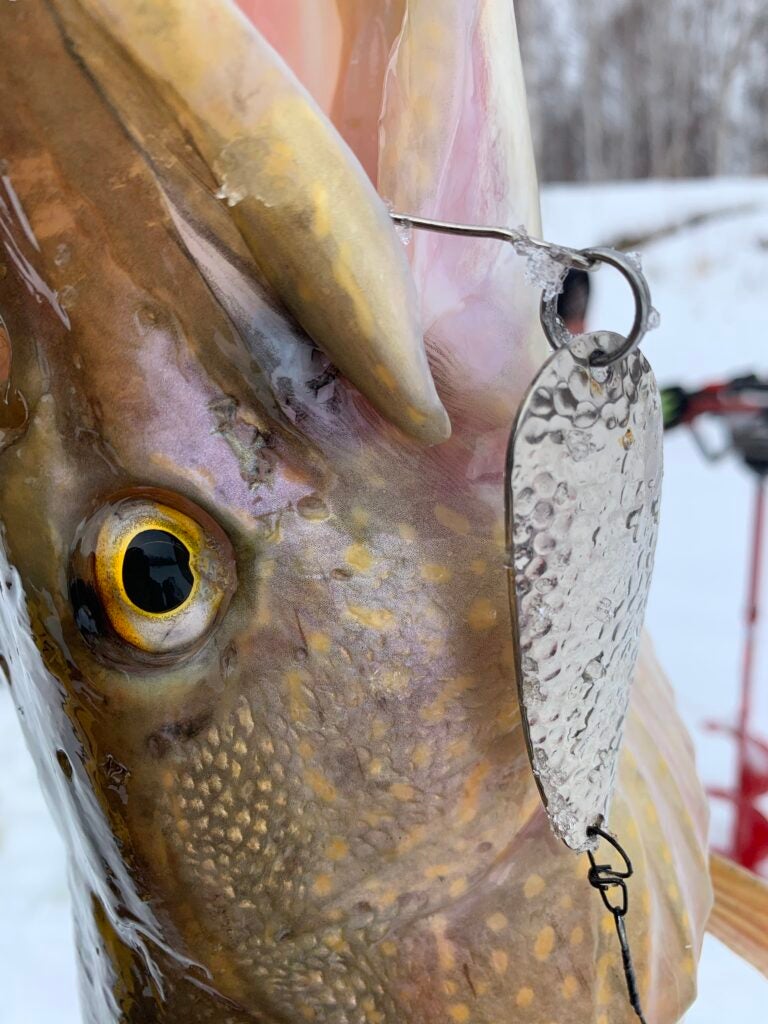 Jigging for Pike in Alaska: The Most Fun You Can Have Below Zero