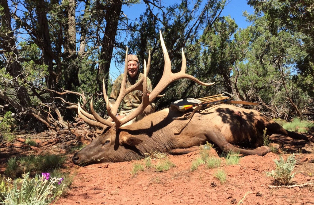 bowhunter with elk