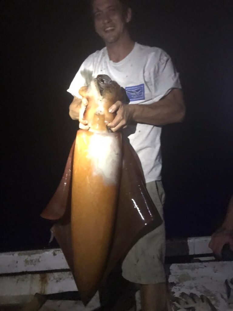 Hawaiian Commercial Fisherman Thinks He Caught a State-Record Diamondback Squid