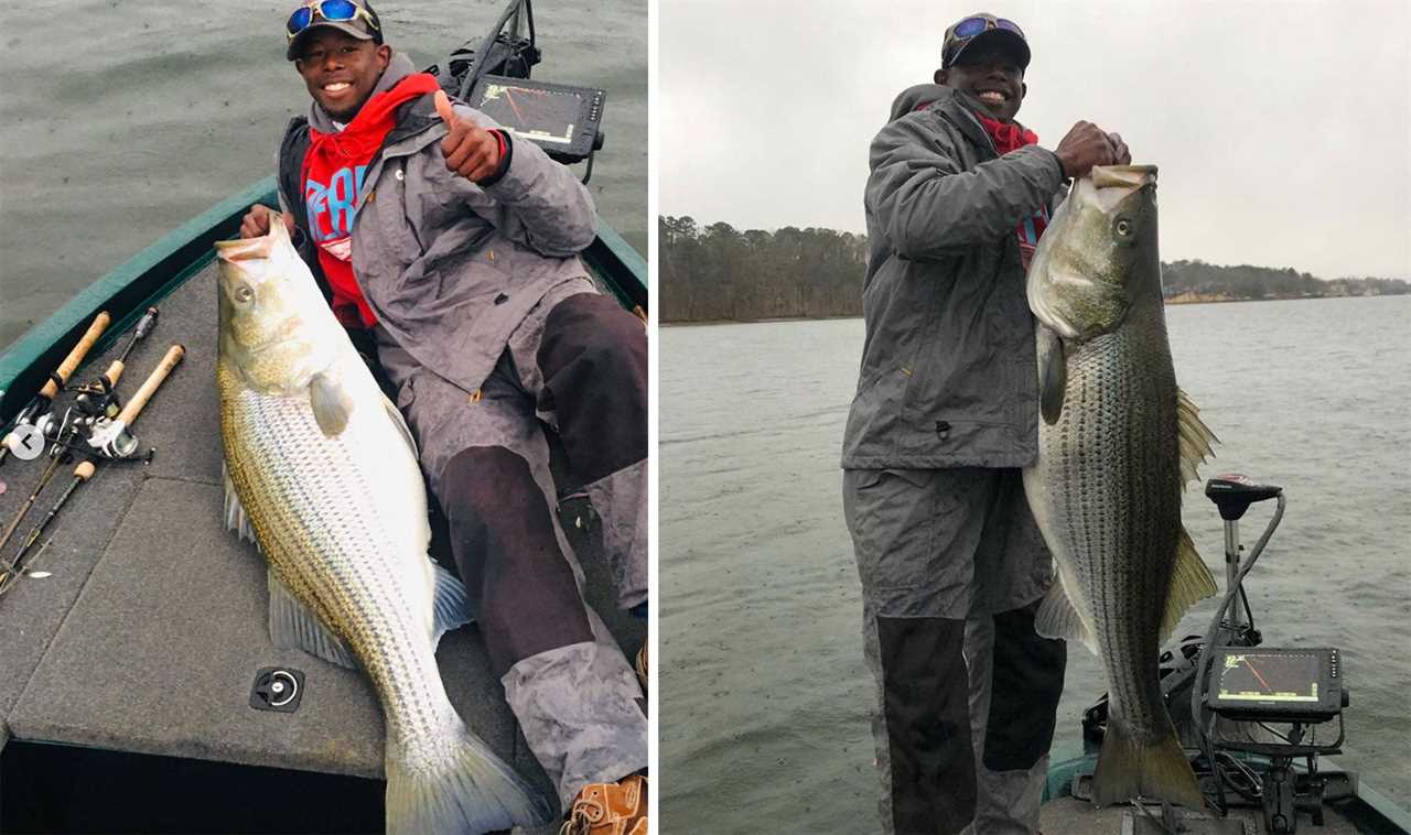 giant striped bass arkansas