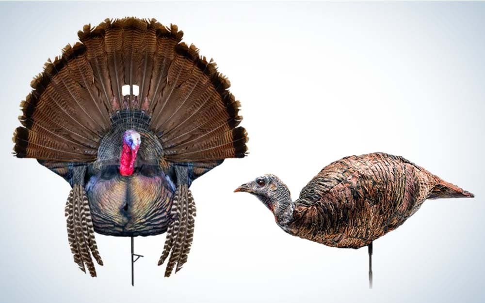 Gobbler and hen decoy