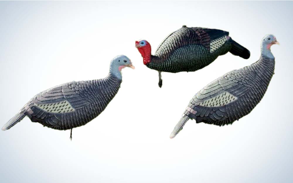 three turkey decoys