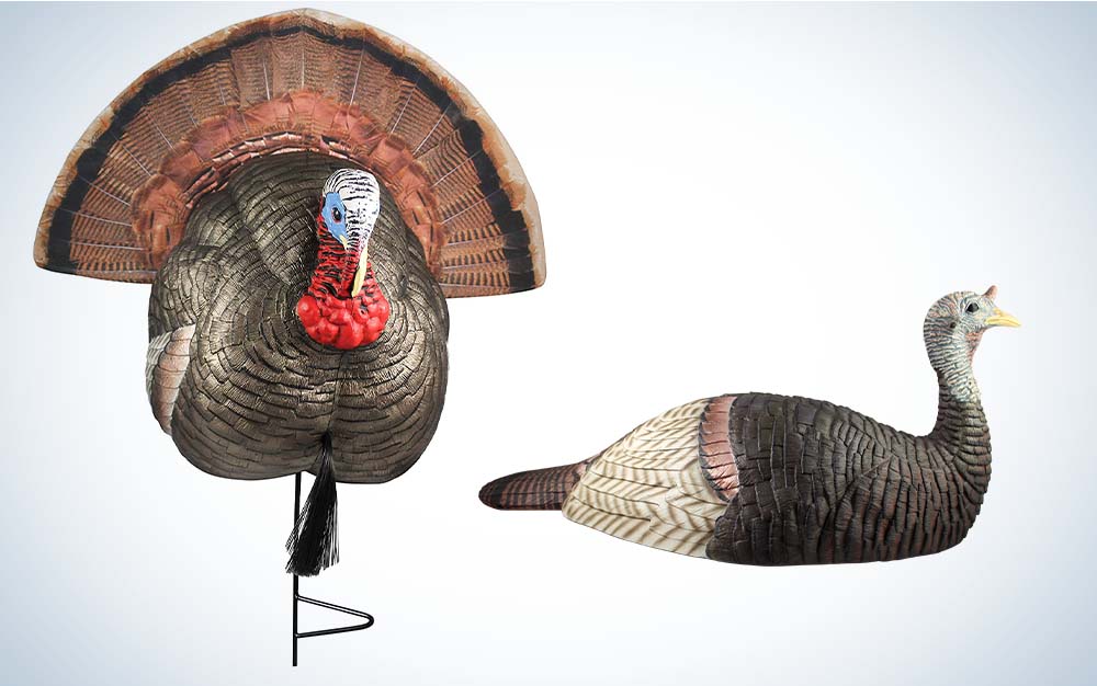 Gobbler and hen turkey decoys