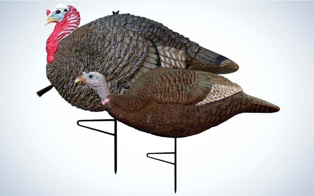 jake and hen turkey decoys