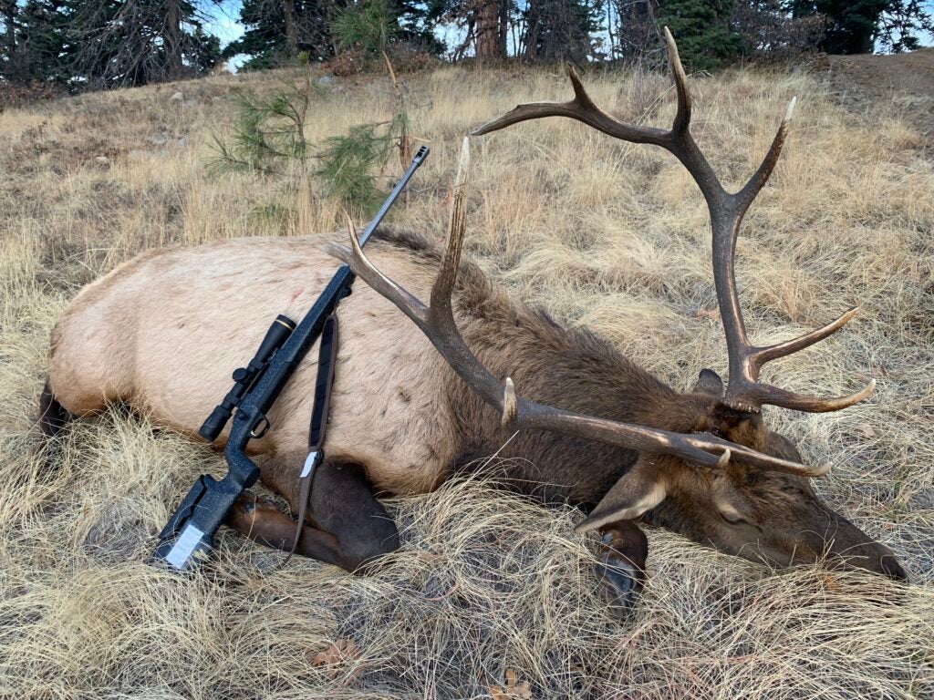 Sight In Snafus: 4 Things Hunters Screw Up When Sighting In Their Rifles