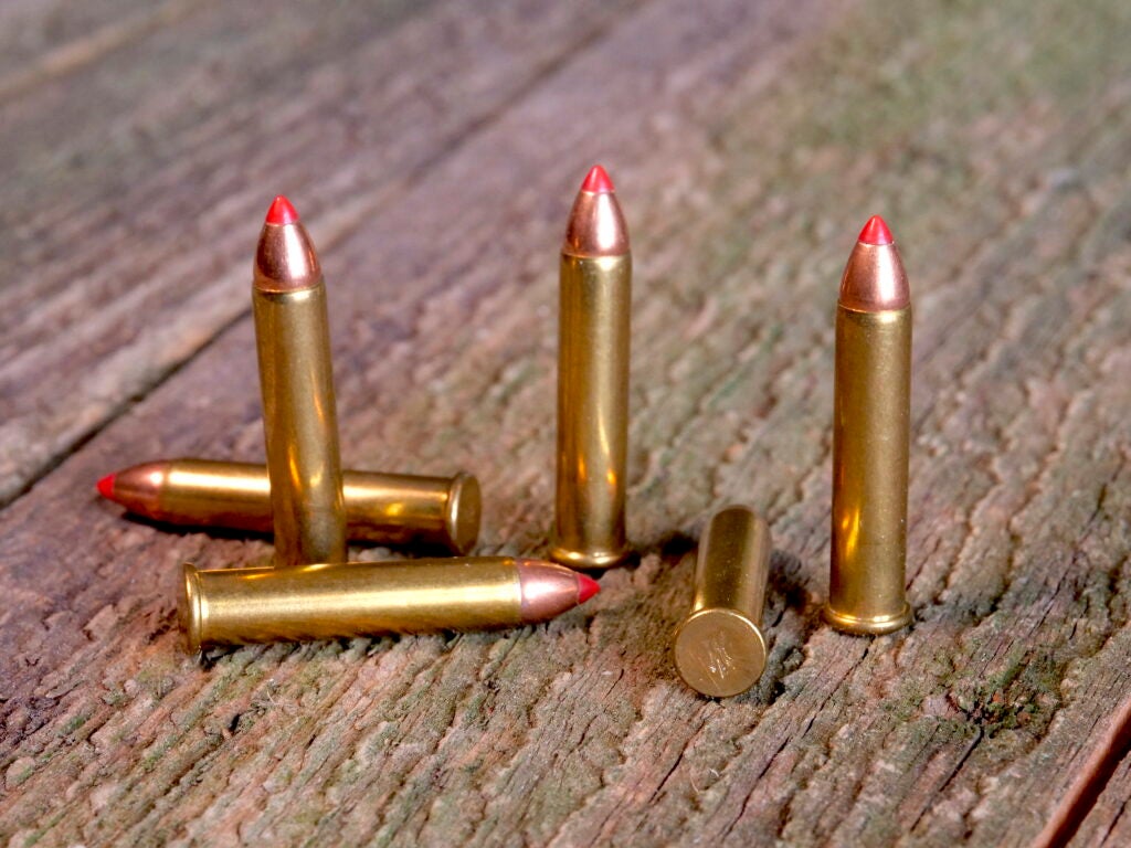 The .22 WMR comes in several bullet weights.