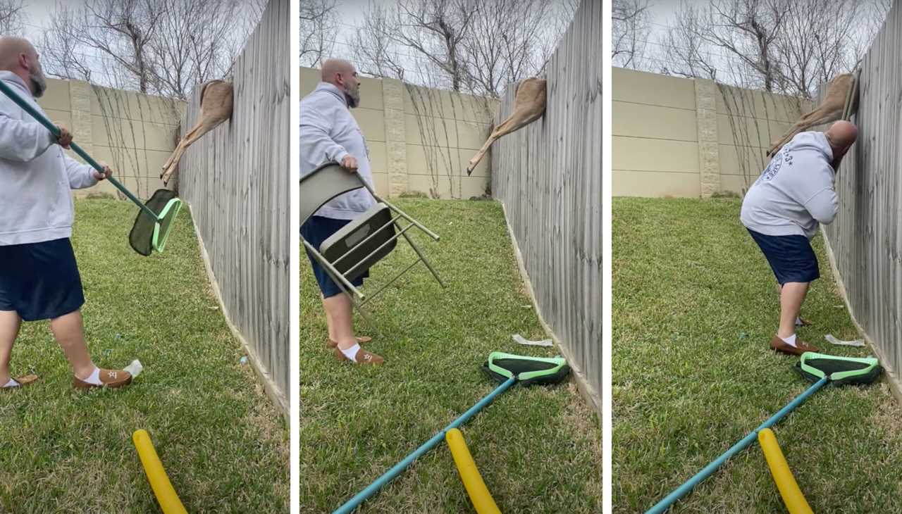 Man frees deer from fence