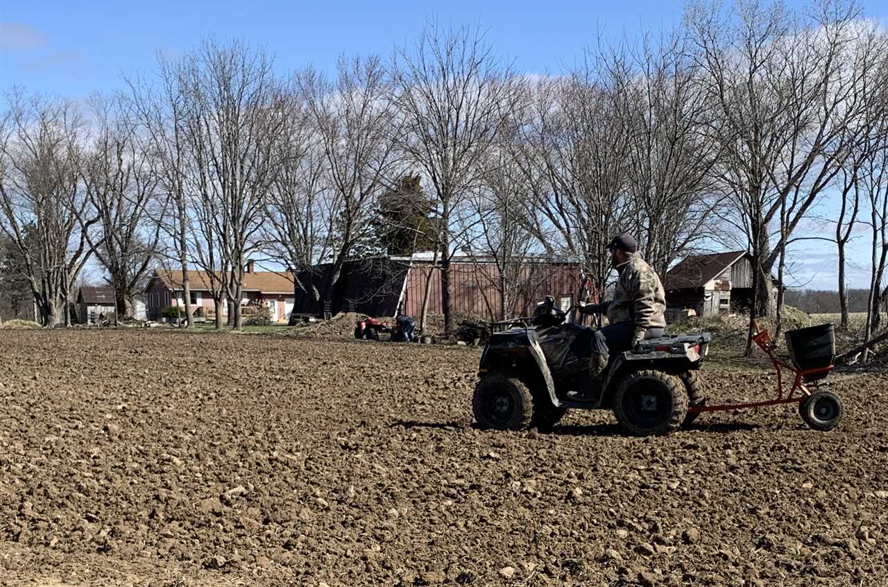 Spread wheat if you want to make planting wheat easy.