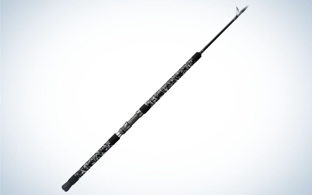 A black best saltwater fishing rod