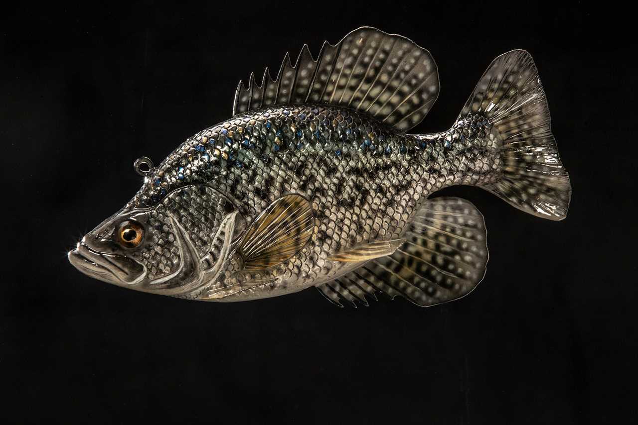 crappie decoy