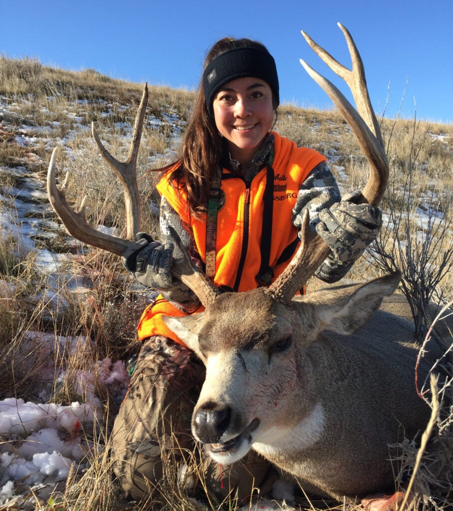 mule deer hunt