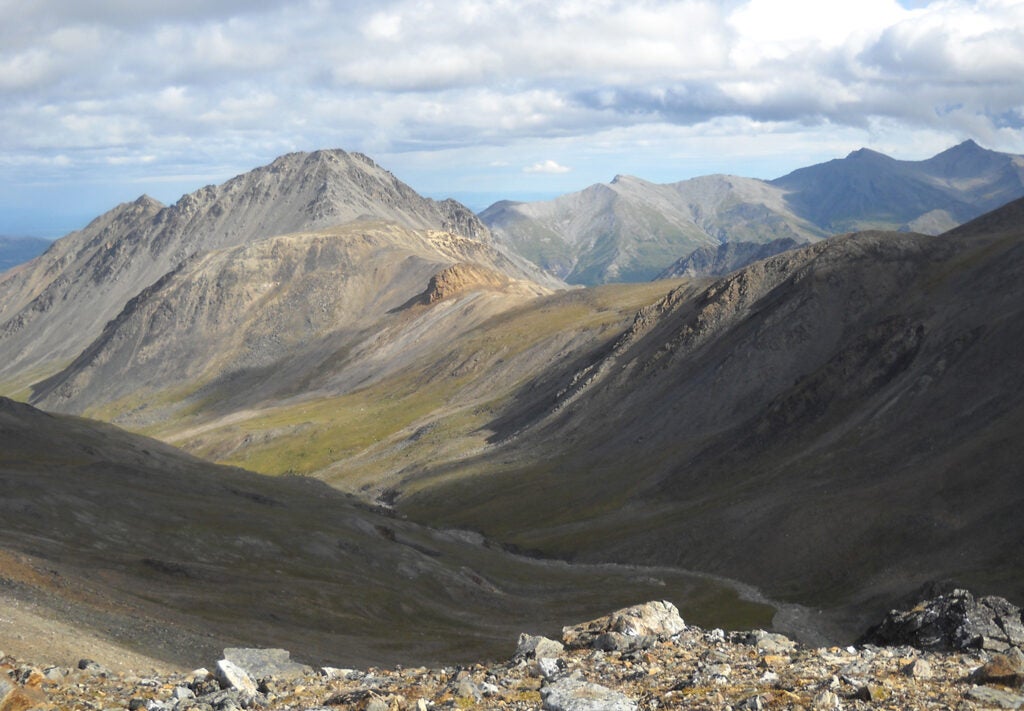 To hunt Dall sheep, head to the mountains of Alaska