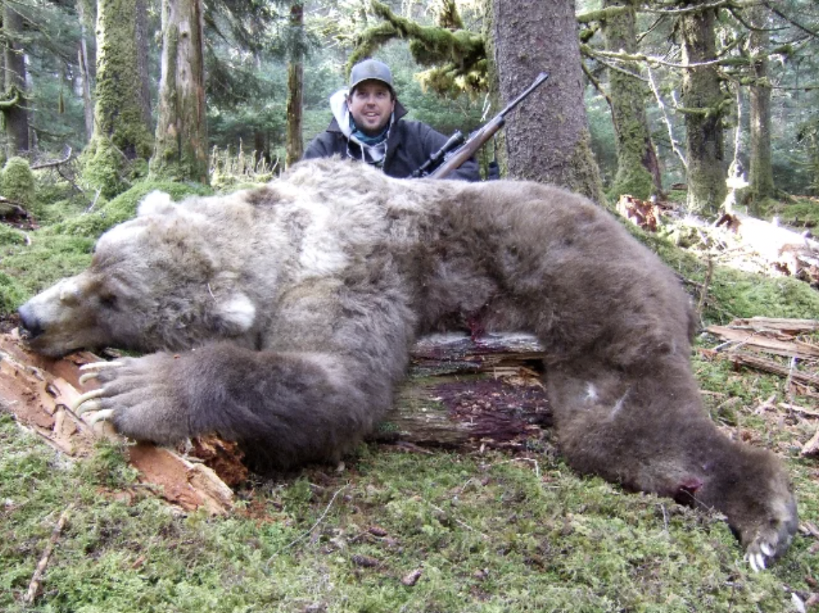 Afognak Island bear.