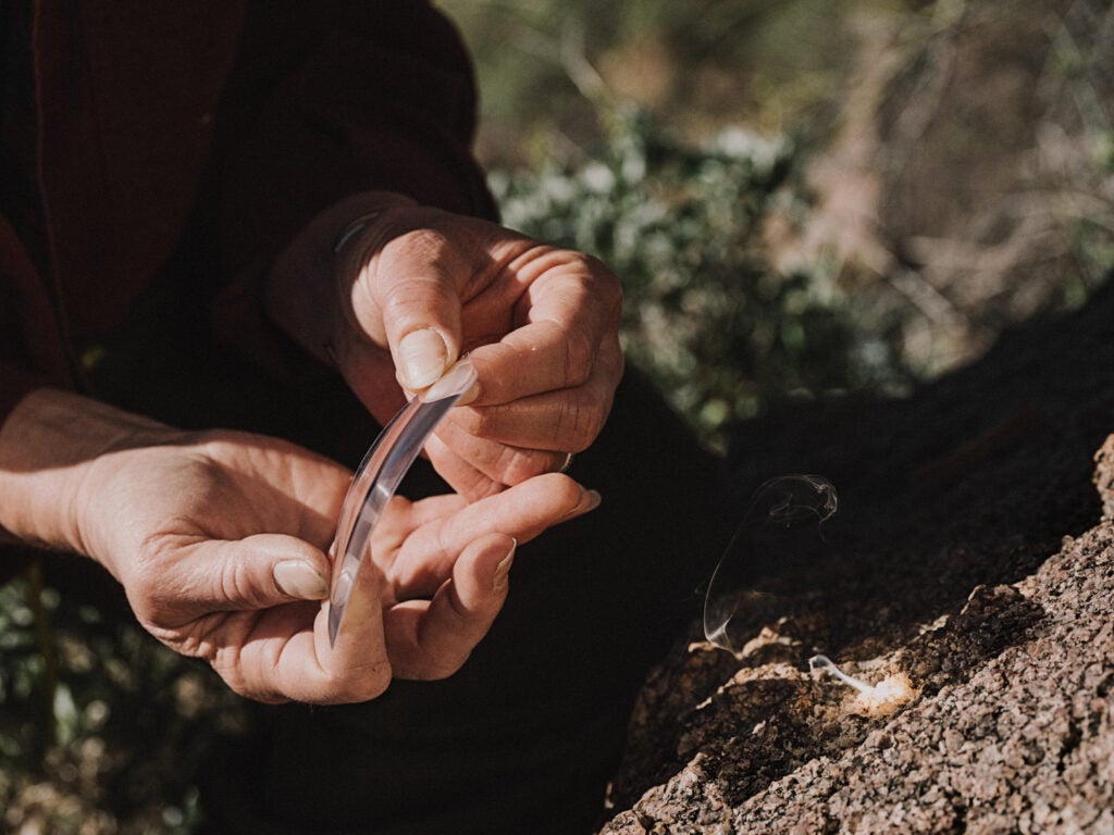 Krebs holds magnifying glass