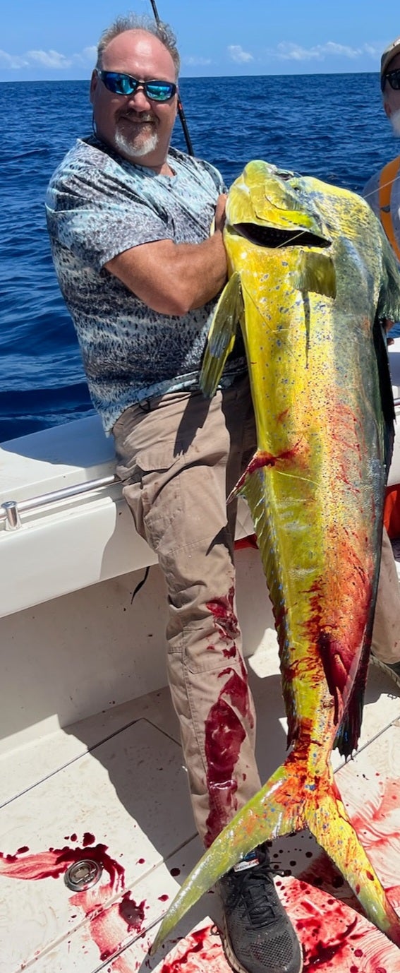 This mahi-mahi is the new Georgia state record holder. 