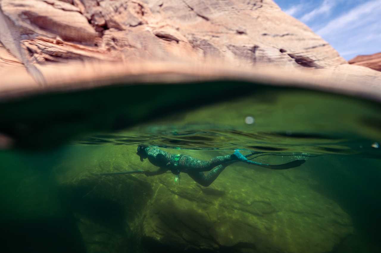 Spearfishing Lake Powell.