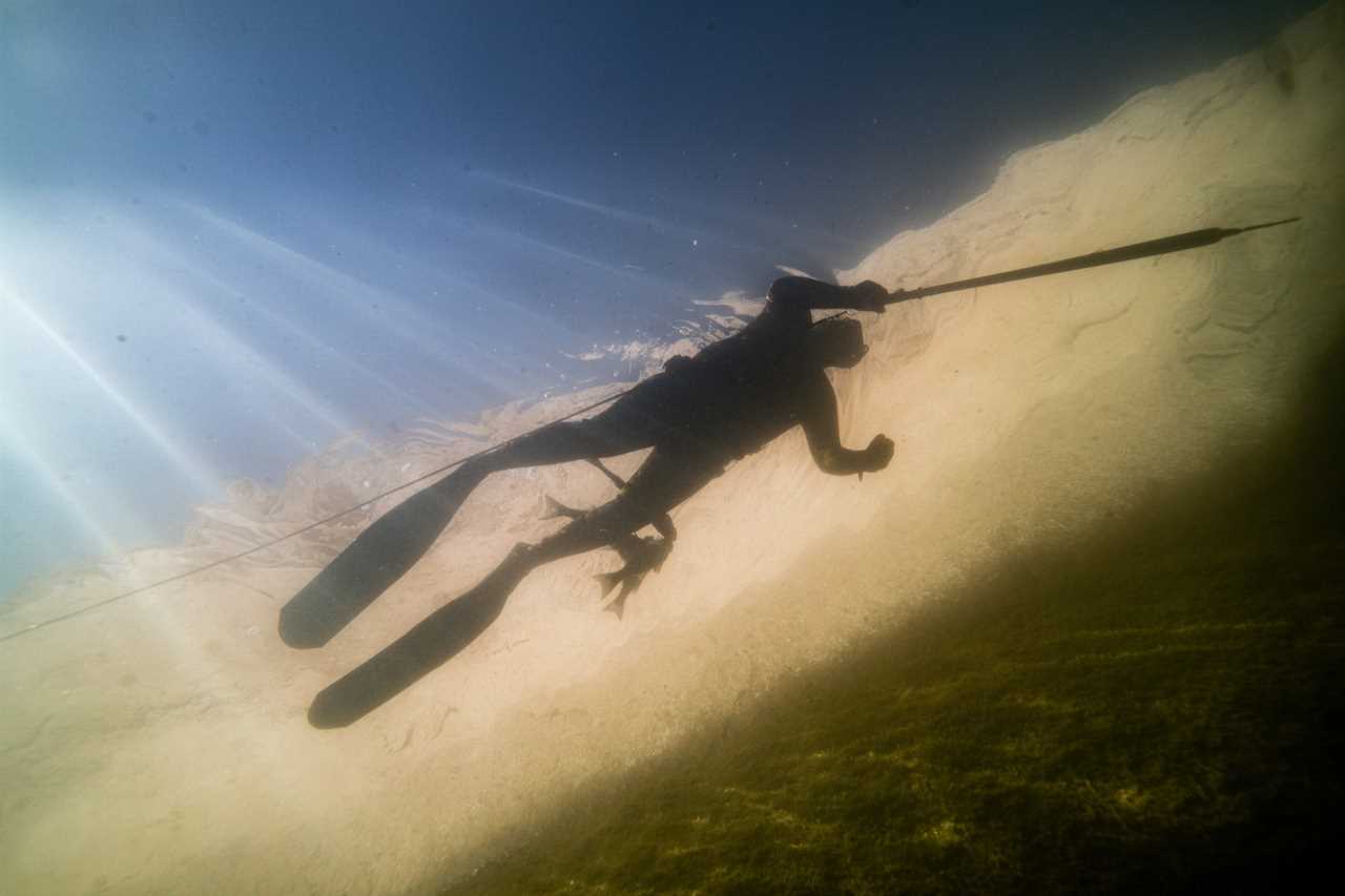 Spearfishing Lake Powell.