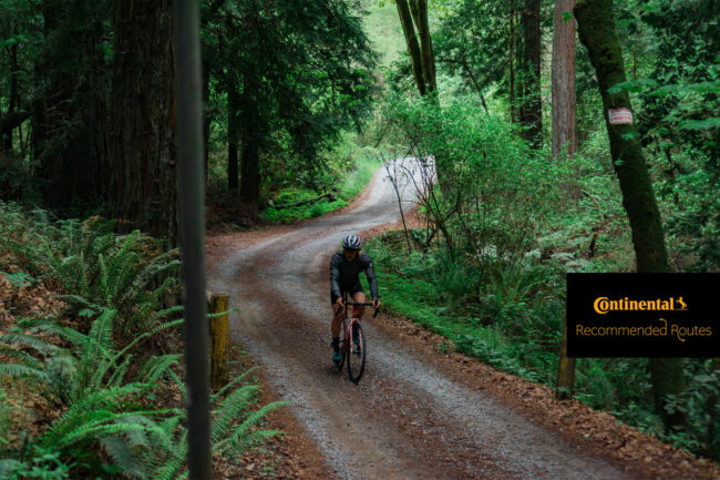 Recommended Routes: Buzzard Lagoon, Santa Cruz