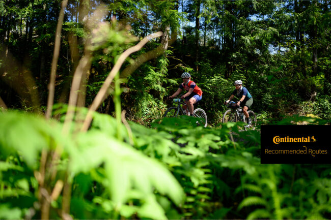 Recommended Routes: Hoh Rainforest Route